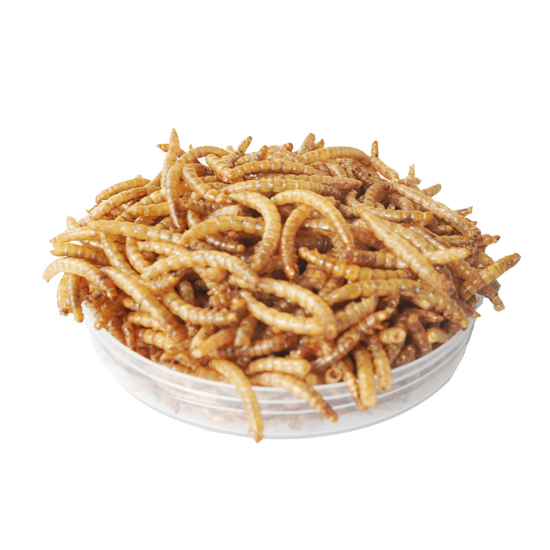 Food Snacks With High Protein - Snacks de Alta Proteína para Hámsteres,
