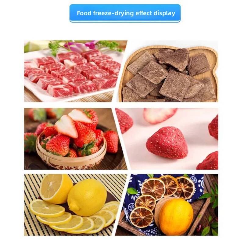 Secador de alimentos al vacío, - Snacks Food Usa reseña y precio